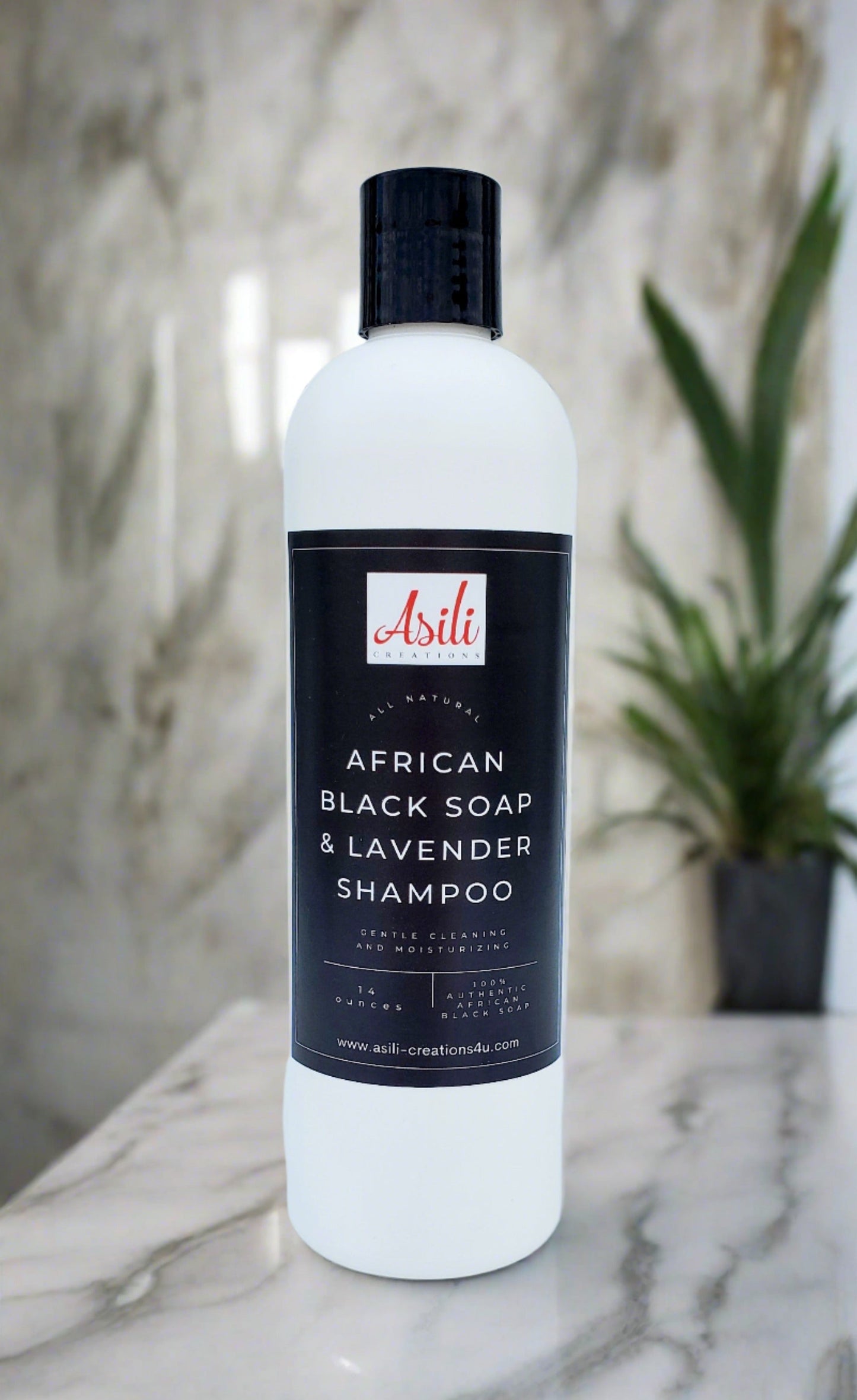 African Black Soap & Lavender Shampoo 16 oz