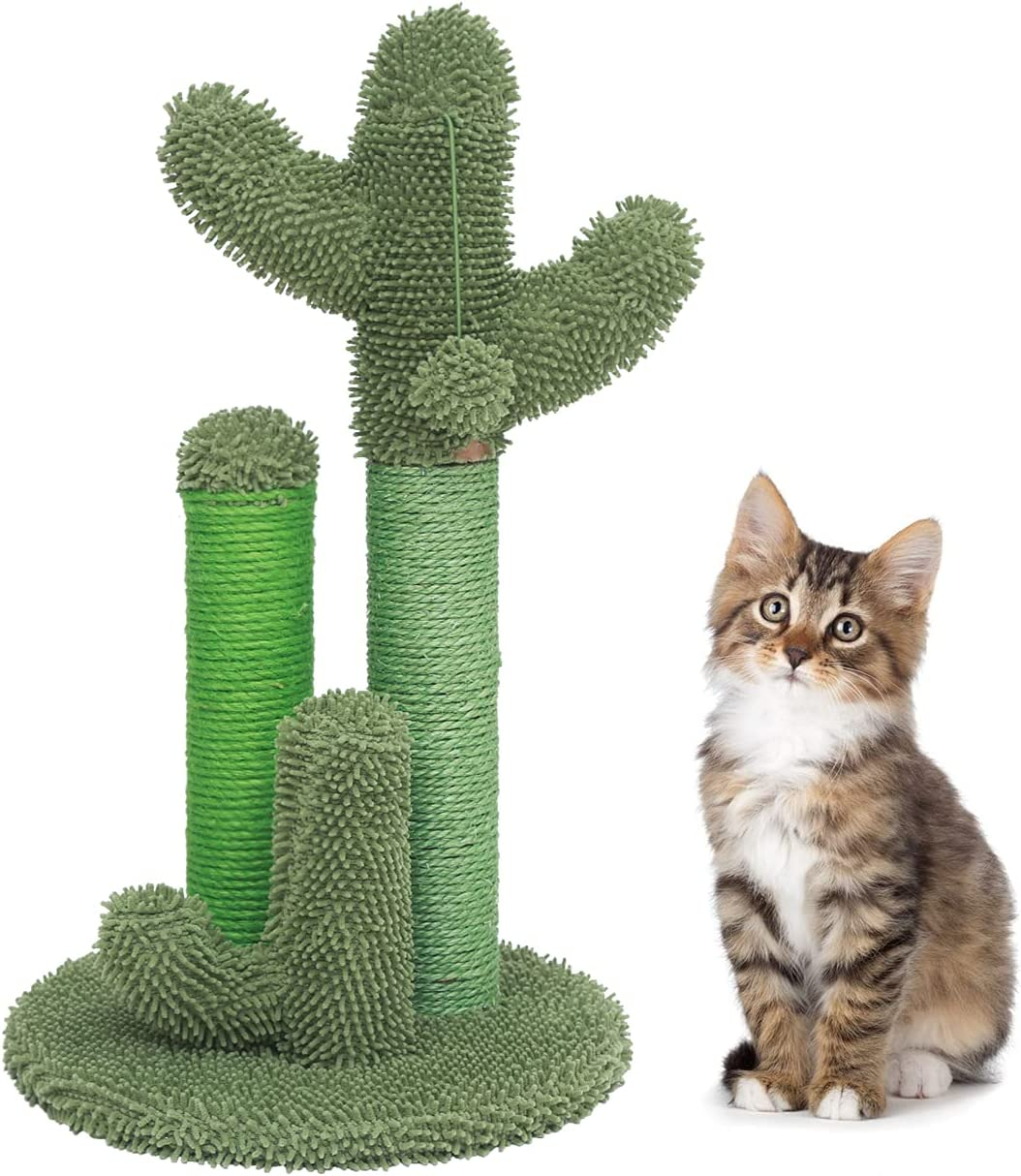 Poils Bebe Inflatable Swimming Pool, Special Design for Indoor Cats