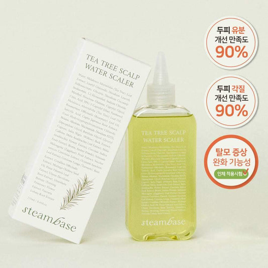 STEAMBASE Tea Tree Scalp Water Scaler 250mL (Hair loss care)