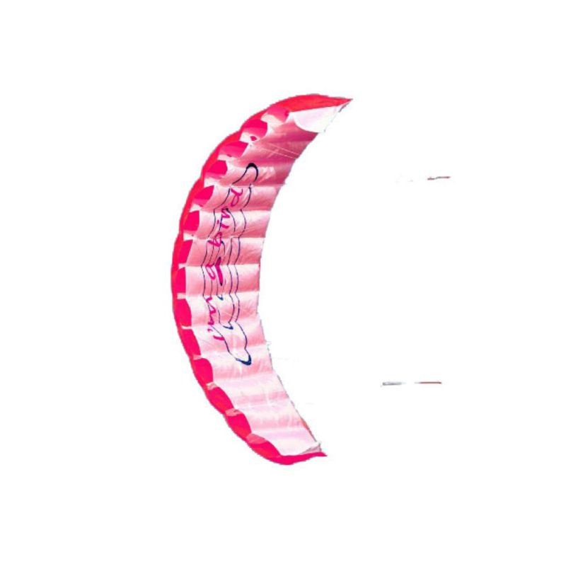 New Outdoor Parachute Dual Line Stunt Kite Parapente Parafoil Nylon Sport Kite Travel Paragliding Kitesurf Sport Toy for Adult